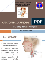 Anatomia Laringea