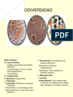 Diapositivas Monera, Protista y Fungi