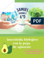 Insecticidas Proyecto
