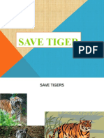 Save Tiger