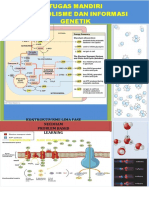 Kontruktivisme Lima Fase Needham Problem Based Learning: Disusun Oleh: Made Sukaryawan