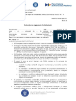 Declaraţie de Angajament Al Solicitantului: Solicitante), Solicitant de Finanțare/solicitant Individual Pentru