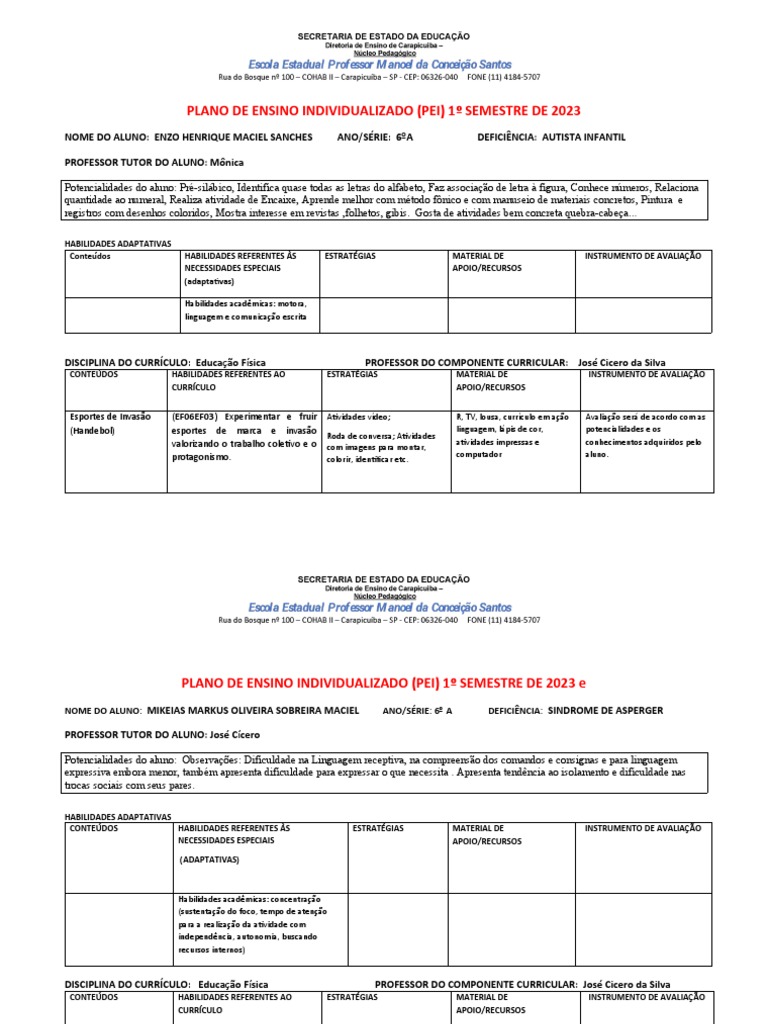 Plano de Ensino Individualizado (Pei) 1º Semestre de 2023 | PDF ...