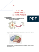 02 - Aditya Alief - Xi Mipa 6 - Sistem Saraf