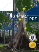 The Mácao: A Story of Fireflies and Hidden Dangers