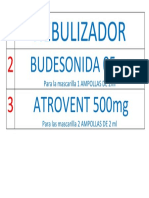 Nebulizador: Budesonida 05Mg ATROVENT 500mg