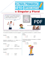 Número Del Sust. Singular y Plural