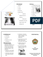 Leaflet Pneumonia