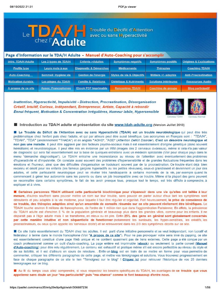 Tda H Adulte | PDF