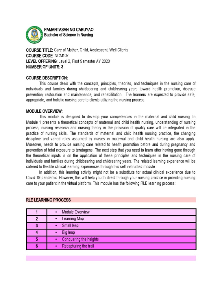 Framework for Maternal and Child Nursing | PDF | Nursing | Nurse ...