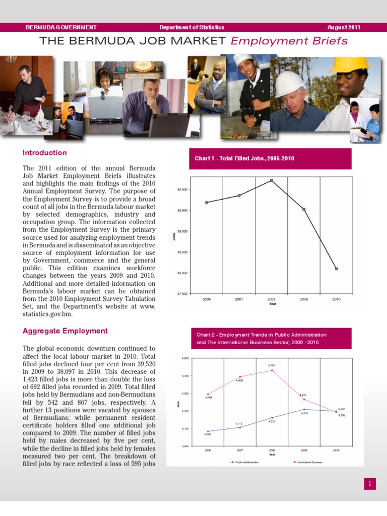 The Bermuda Job Market Employment Briefs PDF Bermuda Employment