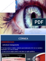 Córnea: Patologia Ocular