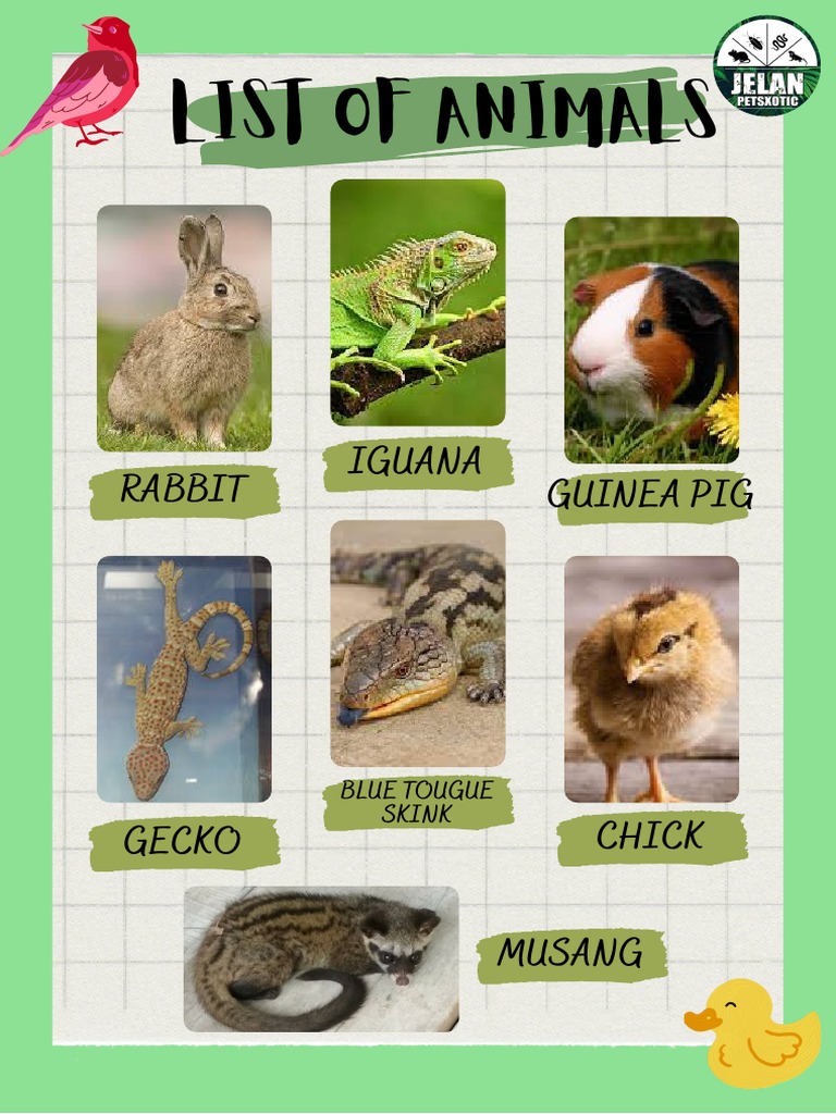 LIST OF ANIMALS | PDF