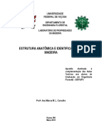 Identificação de madeiras e estrutura anatômica