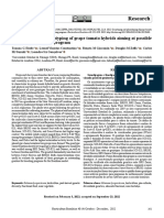 Research: Genotyping and Phenotyping of Grape Tomato Hybrids Aiming at Possible Genitors For Breeding Program