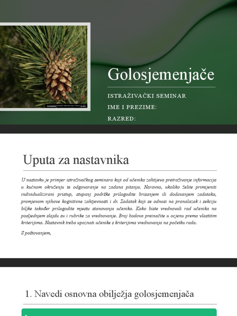 Golosjemenjače: Istraživački Seminar Ime I Prezime: Razred | PDF