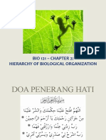 Bio 121 - Chapter 2: Hierarchy of Biological Organization