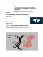 Punto 2 de Unidad 4