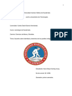 Acuerdo Sobre La Identidad y Derechos de Los Pueblos Indigenas