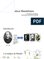 Genética Mendeliana: Principios básicos