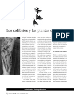 Colibris y Las Plantas Ornitófilas