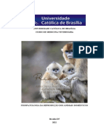 Fisiologia reprodutiva de primatas: aspectos ginecológicos e gestacionais