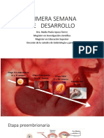 Primera Semana de Desarrollo