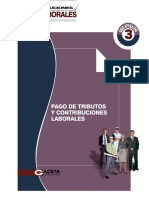 2015 Pago de Tributos y Contribuciones Laborales