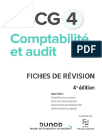 Comptabilité Et Audit: DSCG 4
