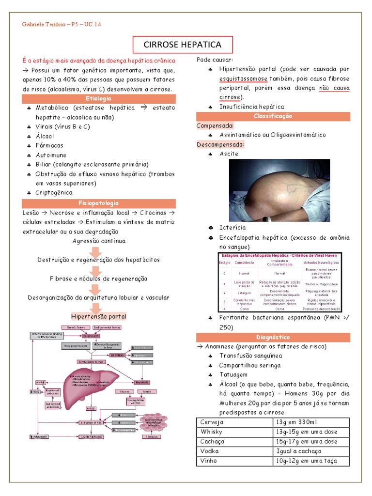 O REFLEXO DOS PRINCIPAIS ERROS PRÉ- ANALÍTICOS NA PRECISÃO DIAGNÓSTICA DOS  LABORATÓRIOS DE ANÁLISES CLÍNICAS, image size:768x1024