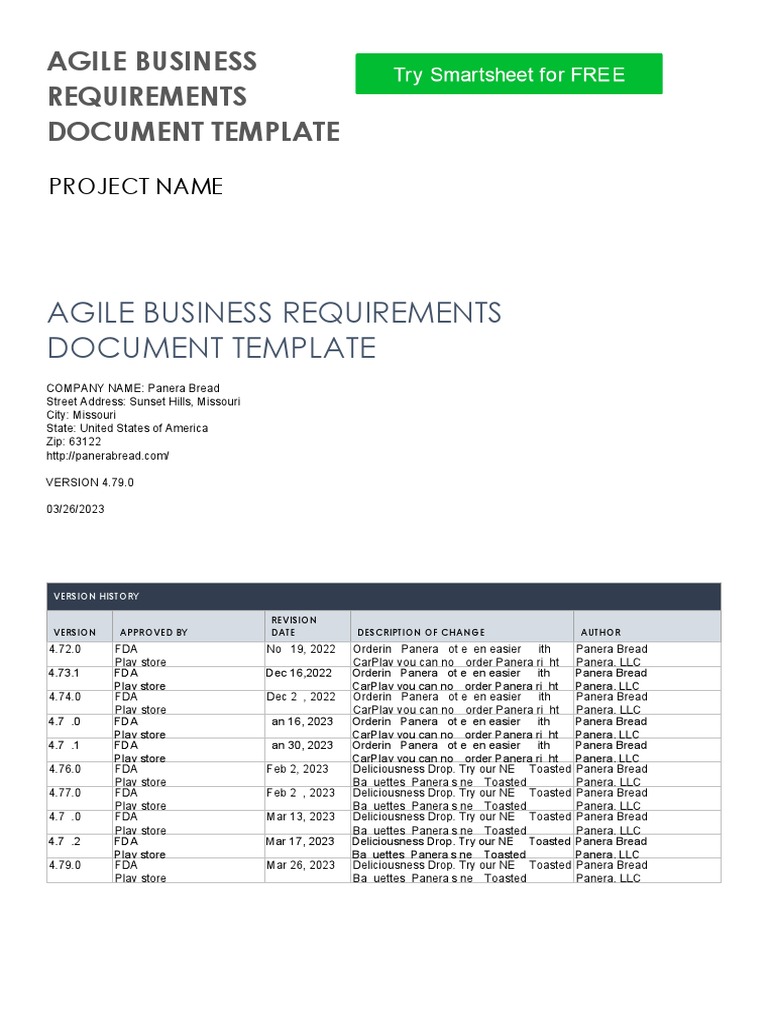 Agile Business Requirements Document Template | PDF | Computing