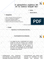 Caracterización geoquímica del Grupo Ambo en la cuenca Ucayali Sur-Perú