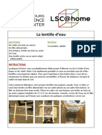 LSCatHome Lentille FR