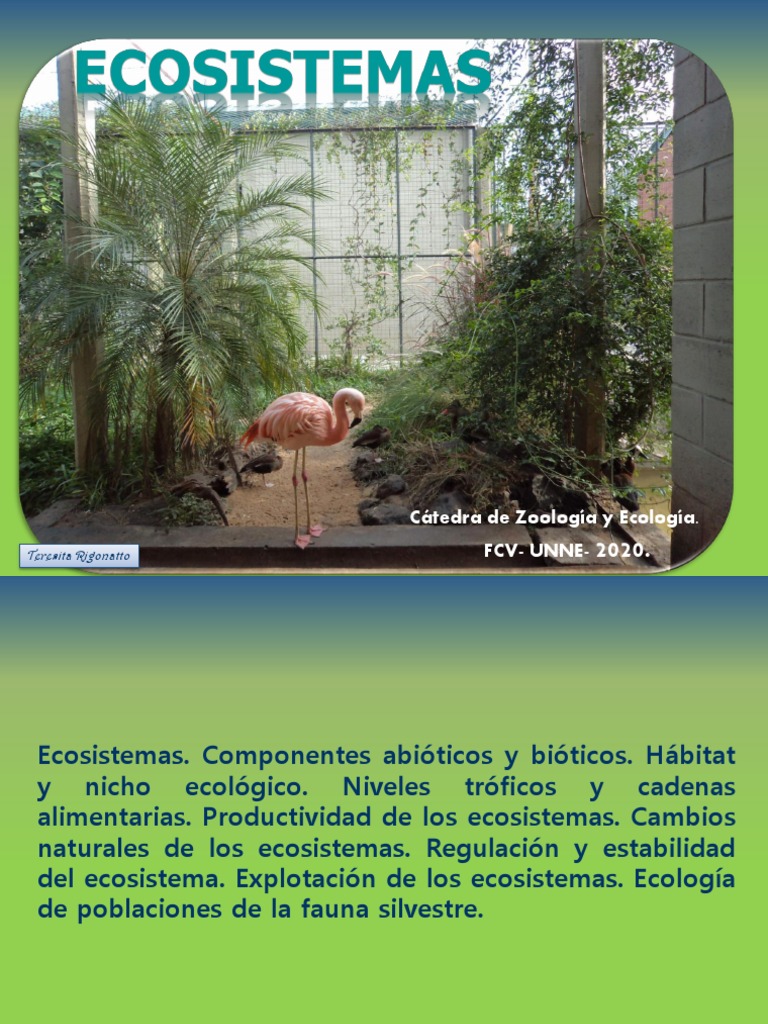 Fundamentos de Ecosistemas y Ecología | PDF | Ecosistema | Ecología