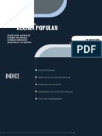 AccionPopular PDF