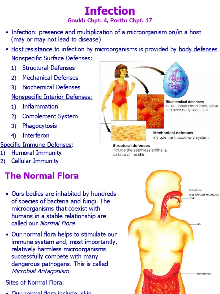 Understanding Infection and Immunity | PDF | Antimicrobial Resistance ...