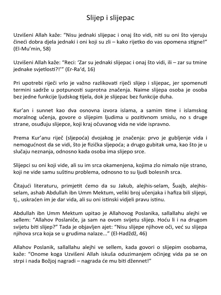 Slijep I Slijepac PDF