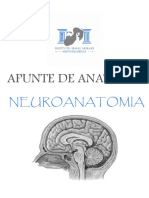 Apunte de Anatomia: Neuroanatomia