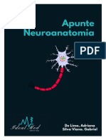 Apunte Neuroanatomia: de Lima, Adriana Silva Viana. Gabriel