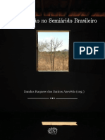 Comunicação No Semiárido Brasileiro: Sandra Raquew Dos Santos Azevêdo (Org.)