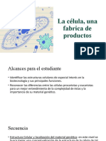 S2 - Conceptos Básicos - La Célula Fabrica de Productos - Presentación