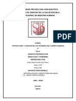 Universidad Privada San Juan Bautista Facultad de Ciencias de La Salud Escuela Profesional de Medicina Humana