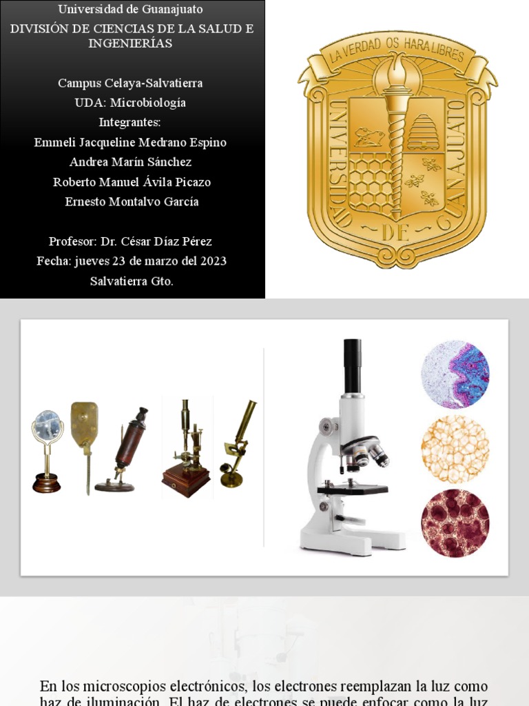 Microscopia Electronica Pdf Microscopio Electrón