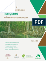 Protocolo_Manglares