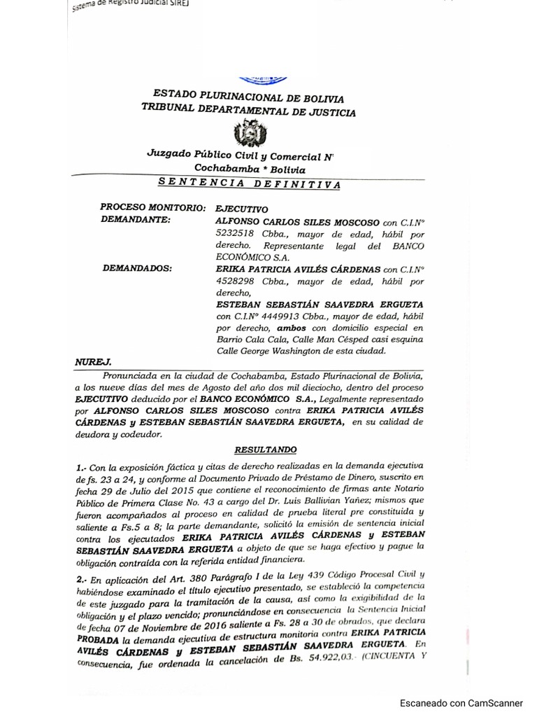 Sentencia Proceso Monitorio Ejecutivo 1 M | PDF