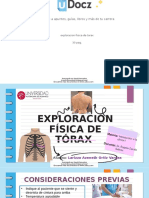 Accede A Apuntes, Guías, Libros y Más de Tu Carrera: Exploracion-Fisica-De-Torax 30 Pag