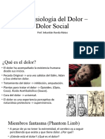 Psicofisiología Del Dolor - Dolor Social: Prof. Sebastián Rueda Matus