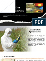 Actividades Agropecuarias: Jhems Huayta, Bruno Ferrari, Valen Gomez, Juan Cruz y Lautaro R