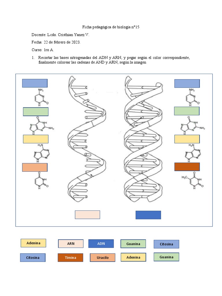 Ficha S15 | PDF, image size:768x1024