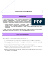 Investigación Mercados II